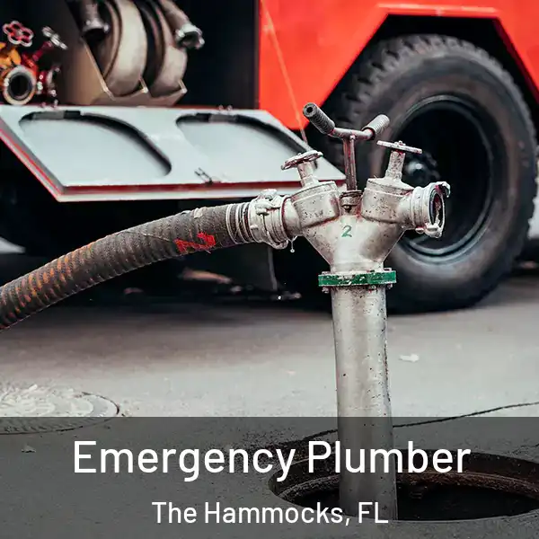  Emergency Plumber The Hammocks, FL
