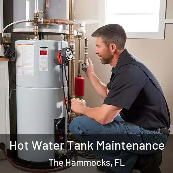 Hot Water Tank Maintenance The Hammocks, FL
