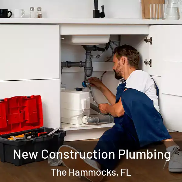  New Construction Plumbing The Hammocks, FL