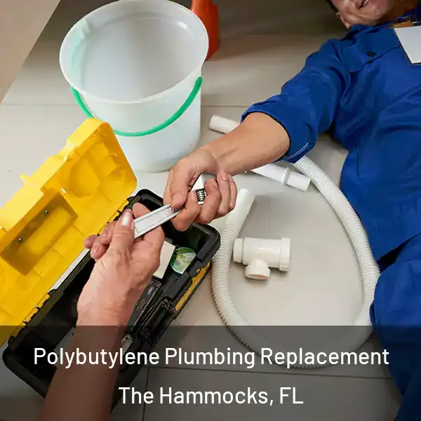  Polybutylene Plumbing Replacement The Hammocks, FL